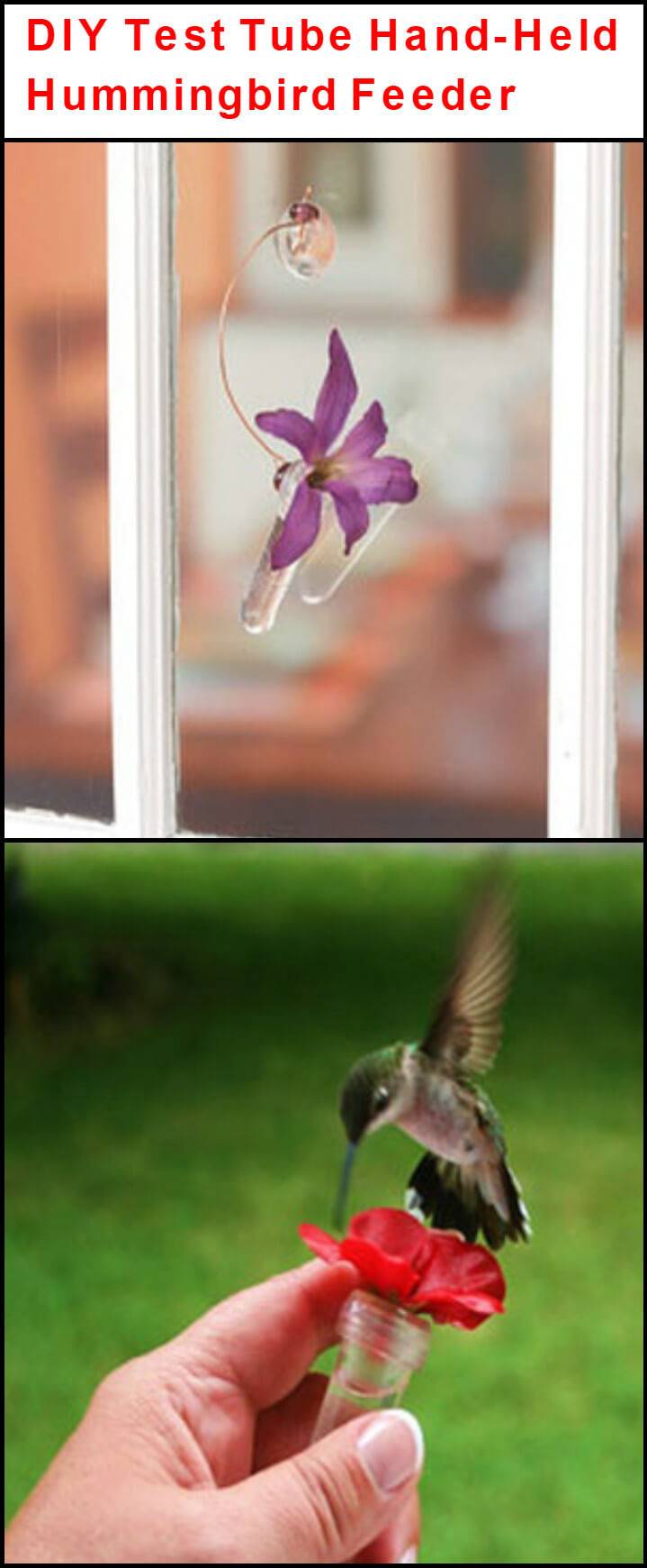 repurposed test tube hand-held hummingbird feeder